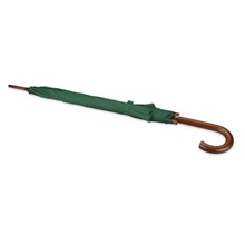 Зонт-трость полуавтоматический с деревянной ручкой, зеленый Увеличить...